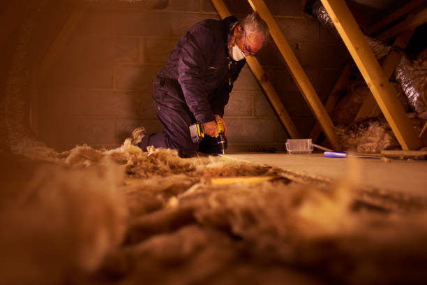 Best Types of Insulation in Homer, GA